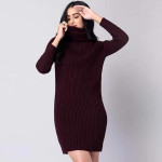 Women Solid High Neck Sweater Dress